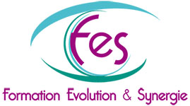 Formation Evolution et Synergie - SFAPEC